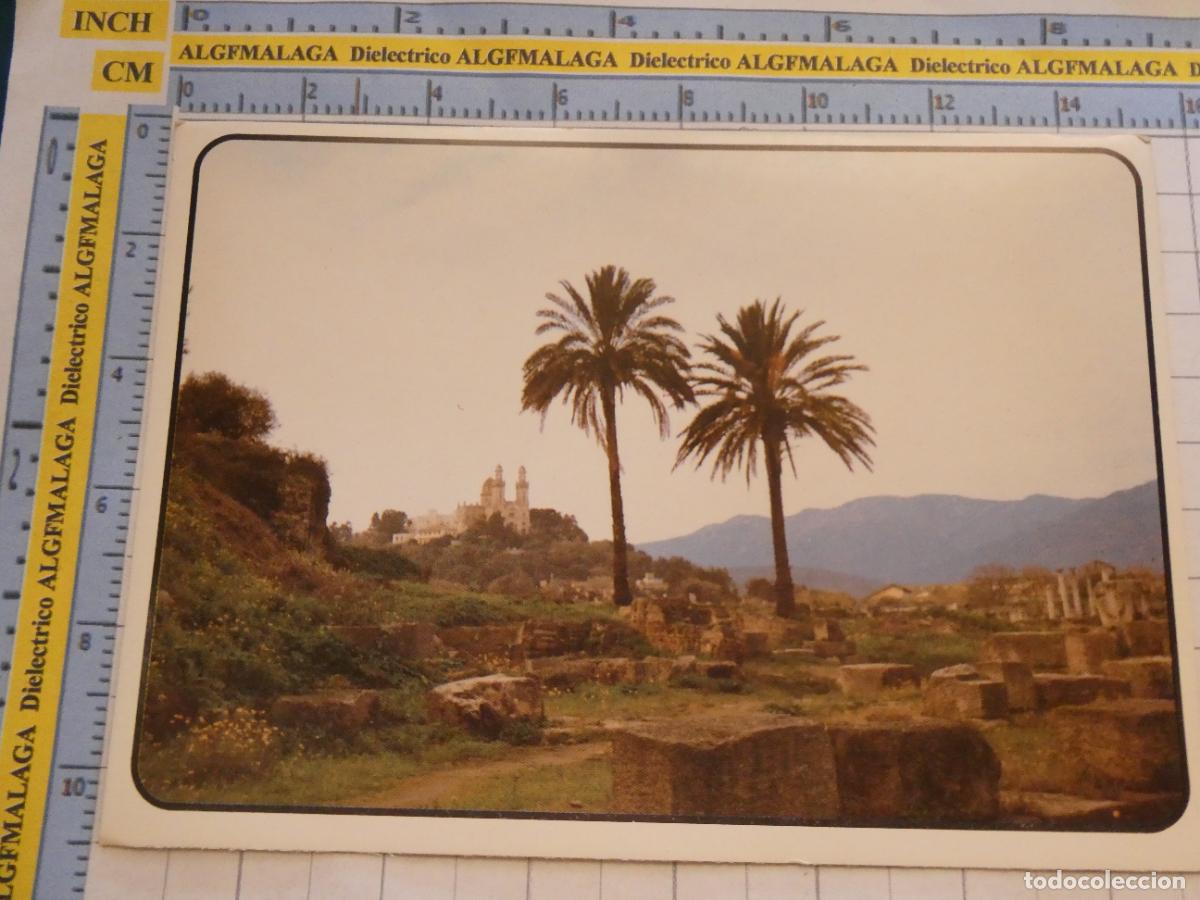 Postales: POSTAL DE ARGELIA. ANNABA HIPPONE 2269