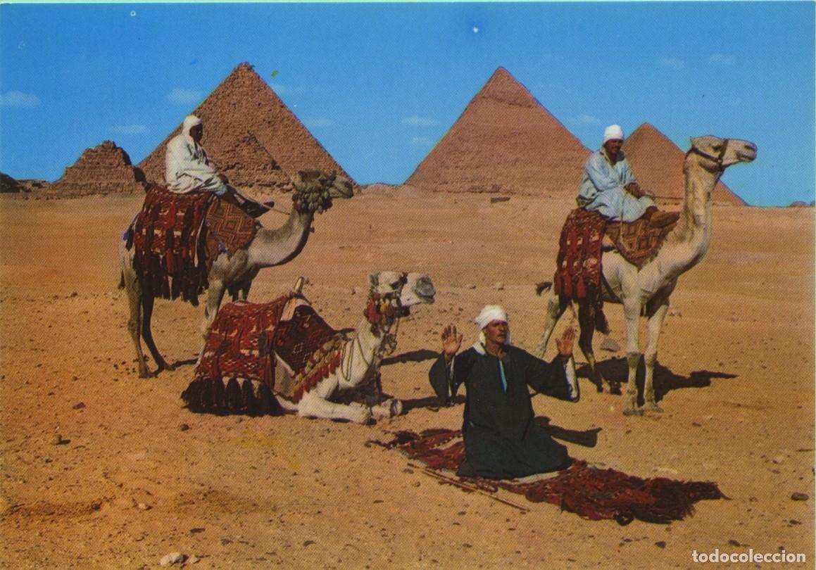 Postales: GIZA. Egypt. Arab Camelriders in front of the Pyramids. Sin circular. ED. POST CARD EGYPT