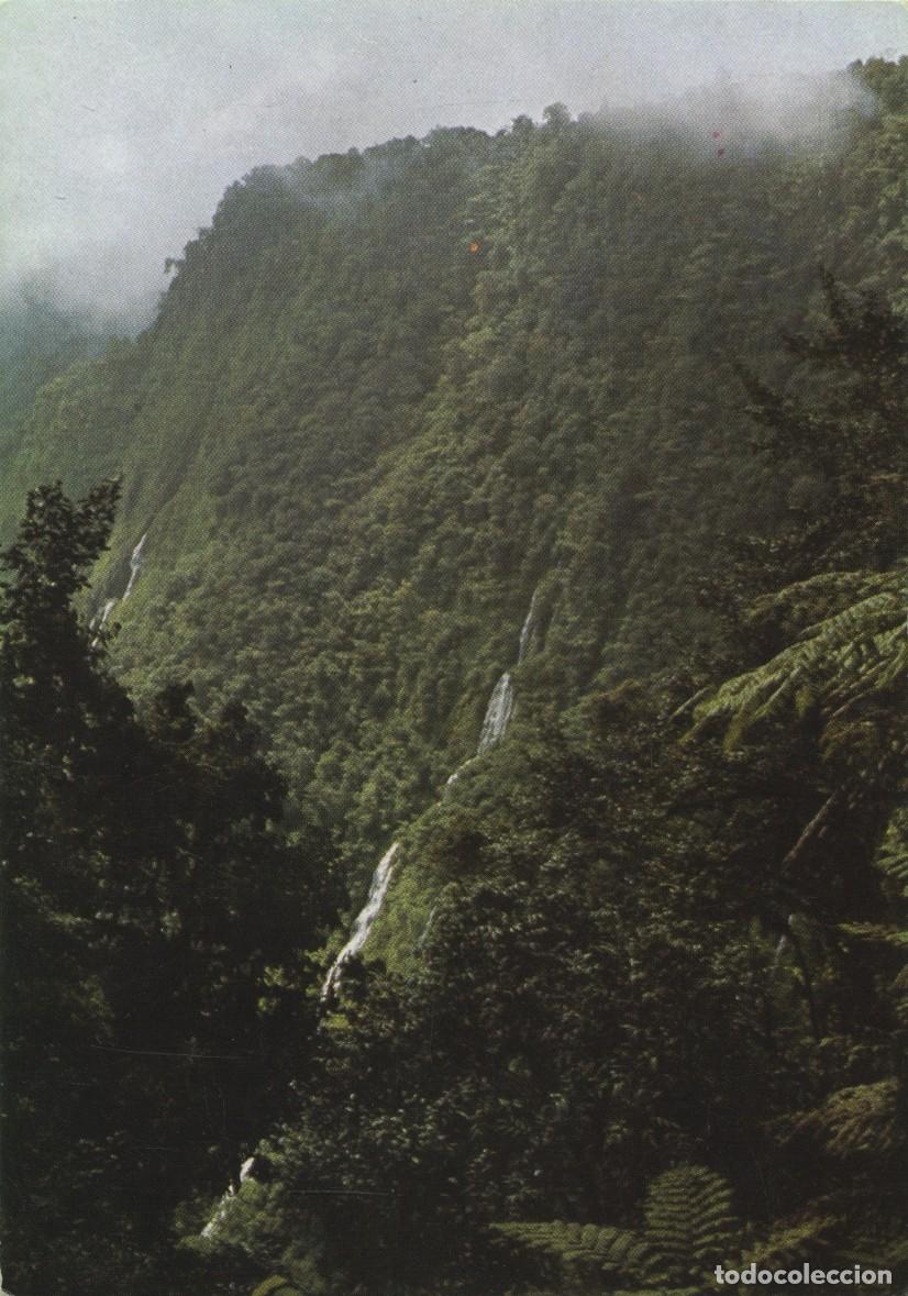 Postales: MAKA. Guinea Ecuatorial. Saltos del r&iacute;o Illachi. Sin circular. ED. SAAVEDRA & NOVOA
