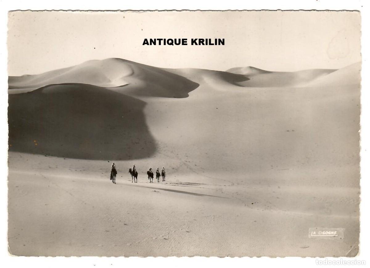 Postales: COLLECTION SAHARIENNE N&ordm; 50005 DANS L'IMMENSITE DES SABLES / EDITIONS LA CICOGNE