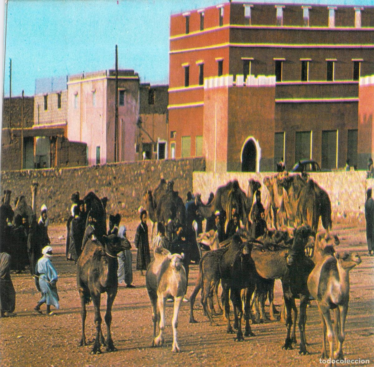 Postales: Postal Mercado de Camellos en Guelmim Marruecos