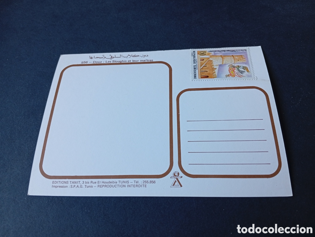 Postales: Postal Douz nativos con perros - Foto 2