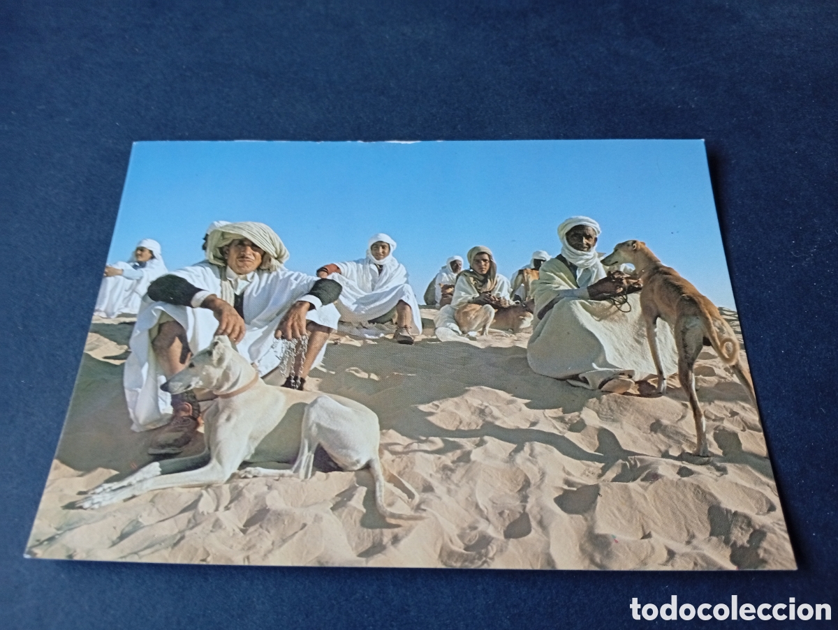 Postales: Postal Douz nativos con perros