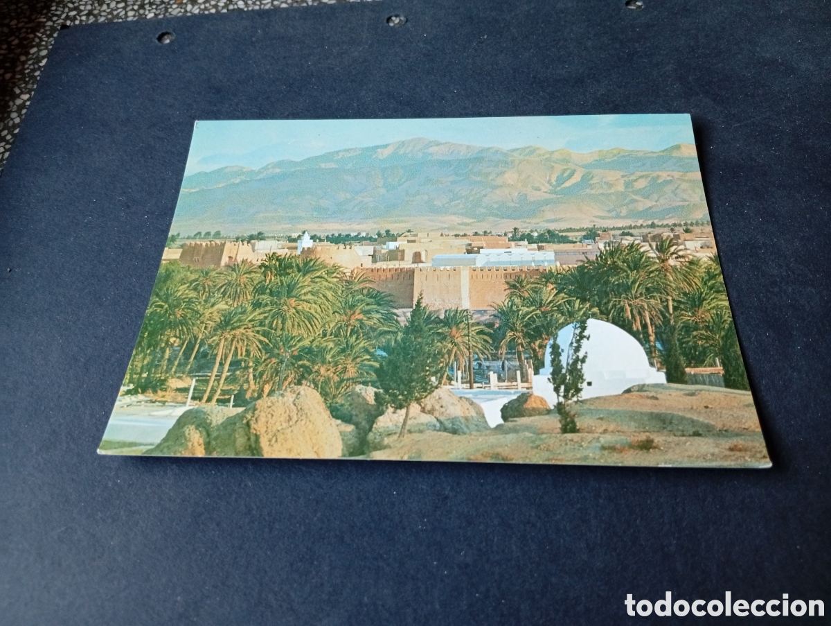 Postales: Postal gafsa, Oasis T&uacute;nez