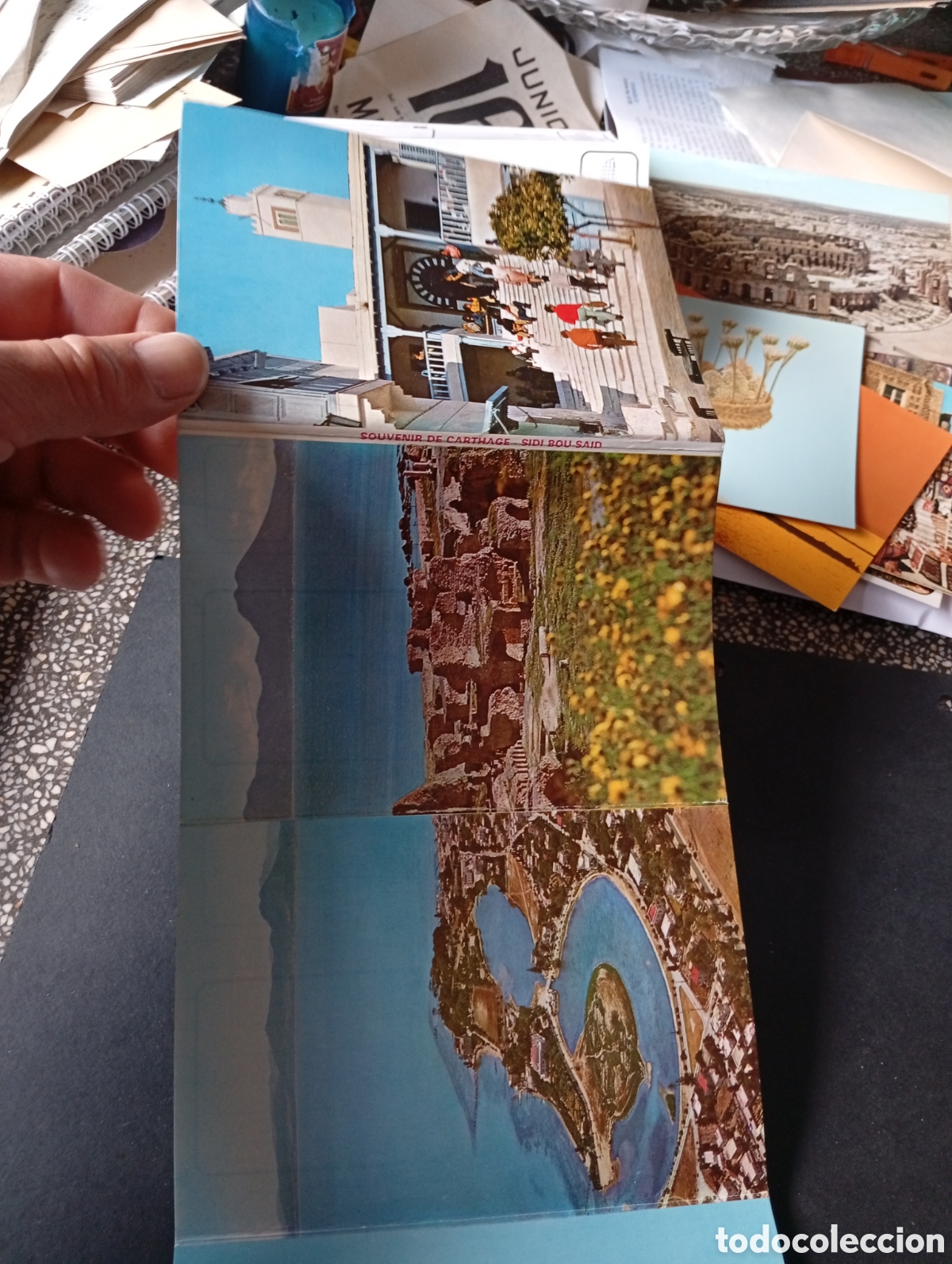 Postcards: Postal souvenir de T&uacute;nez