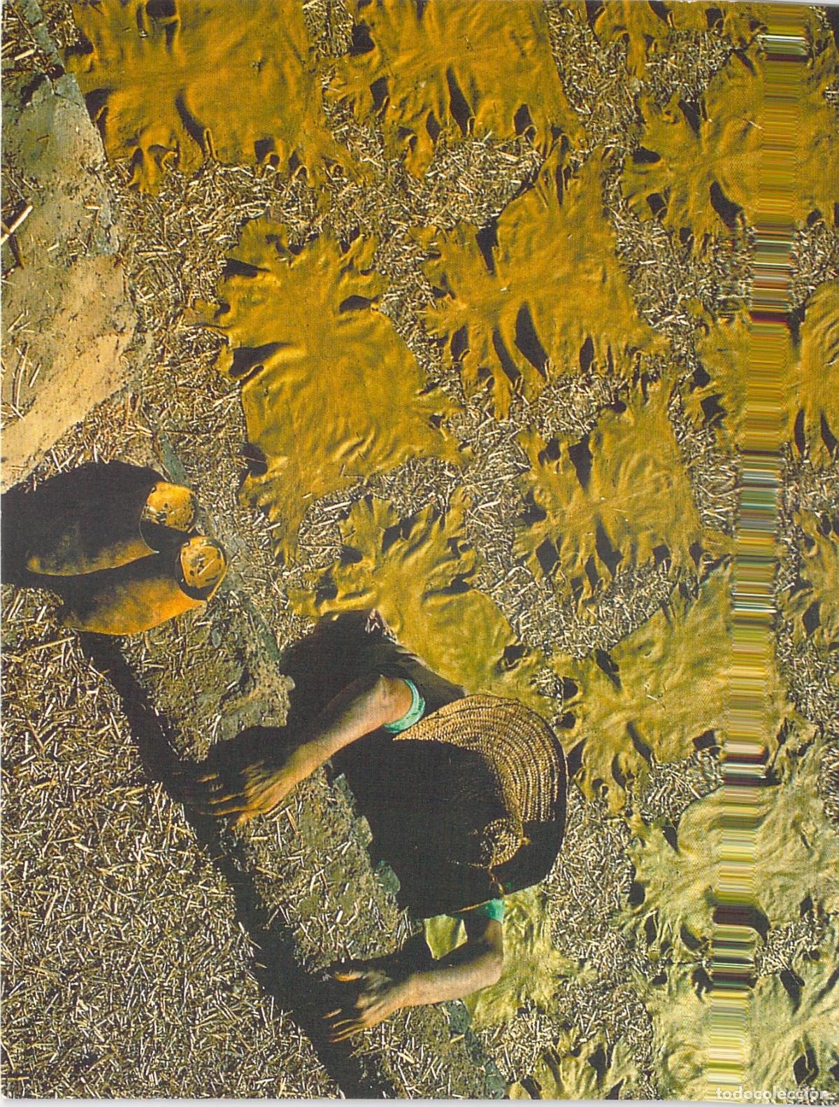 Postales: Postal de F&egrave;s Marruecos Secado de Pieles Foto Bruno Barbey