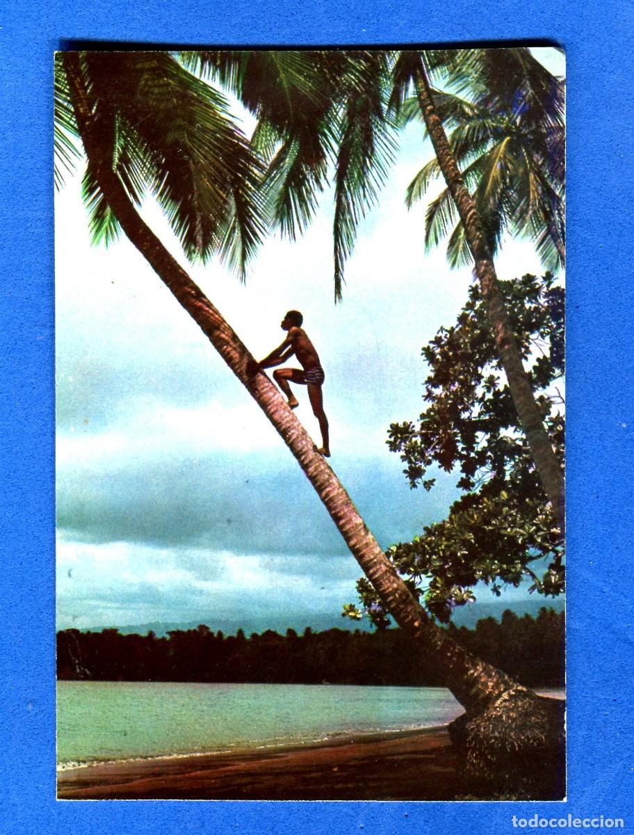 Postales: POSTAL SIN CIRCULAR GUINEA ECUATORIAL 14 A POR COCOS EDITA RAKER