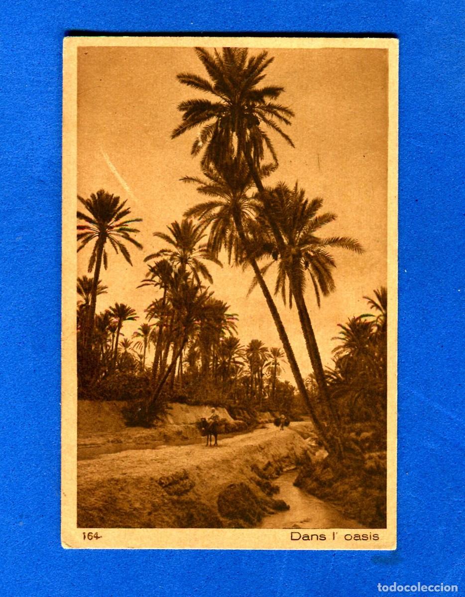 Postales: POSTAL SIN CIRCULAR OASIS 164 EDITA L & L