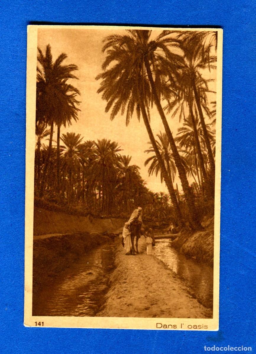 Postales: POSTAL SIN CIRCULAR OASIS 141 EDITA L & L