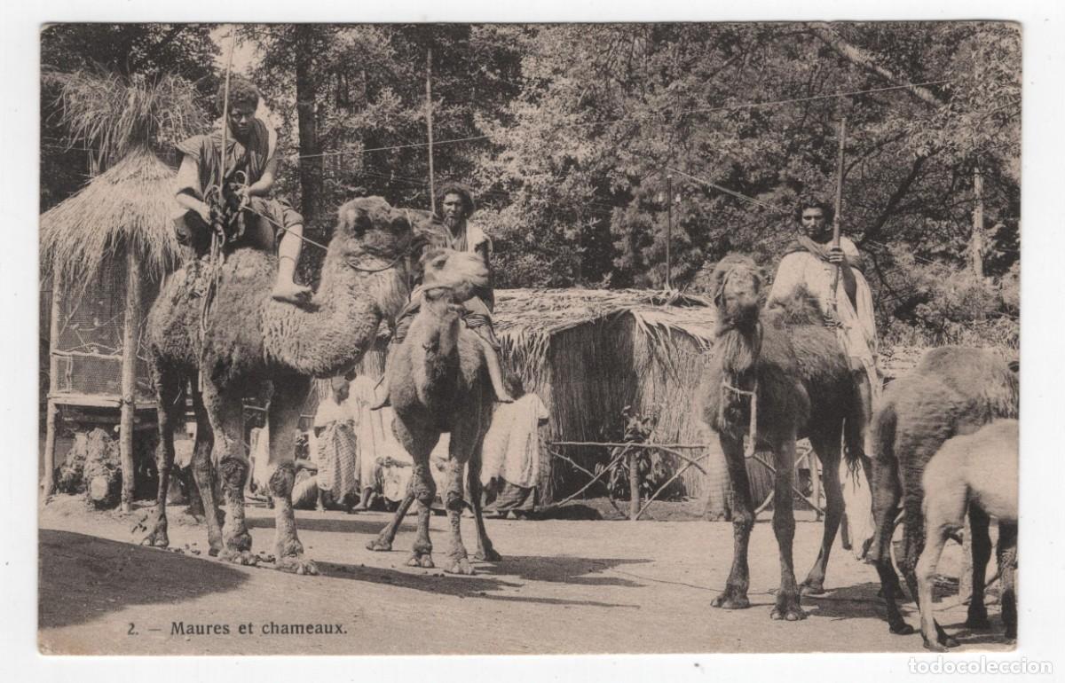 Postales: MARRUECOS MAURES ET CHAMEAUX POSTAL ESCRITA (SENEGAL?) DESTINO OBSERVATORIO DEL EBRO TORTOSA 1914