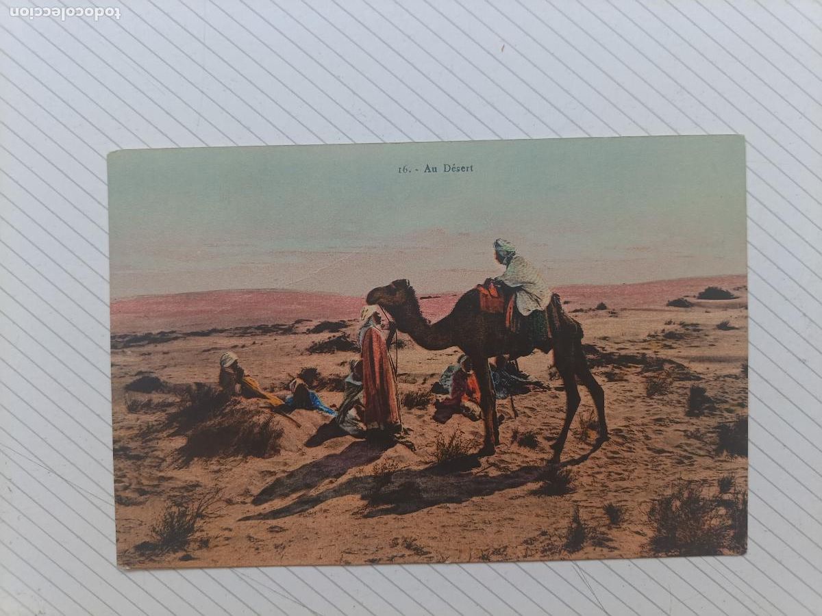 Postales: Escena del desierto. Postal antigua