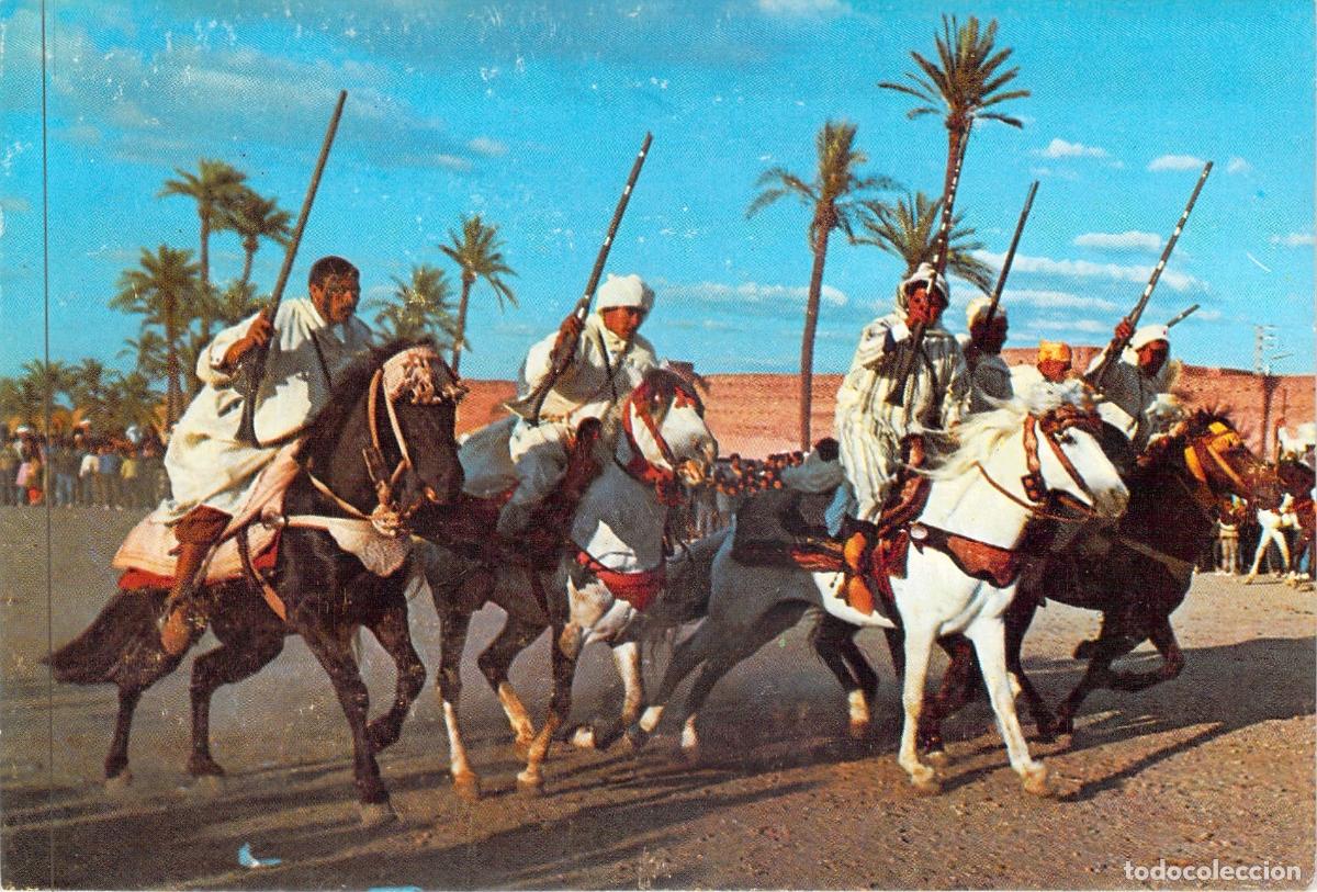 Postales: Postal de la Fantasia Marroqu&iacute; en Marrakech - Caballos y Tradici&oacute;n
