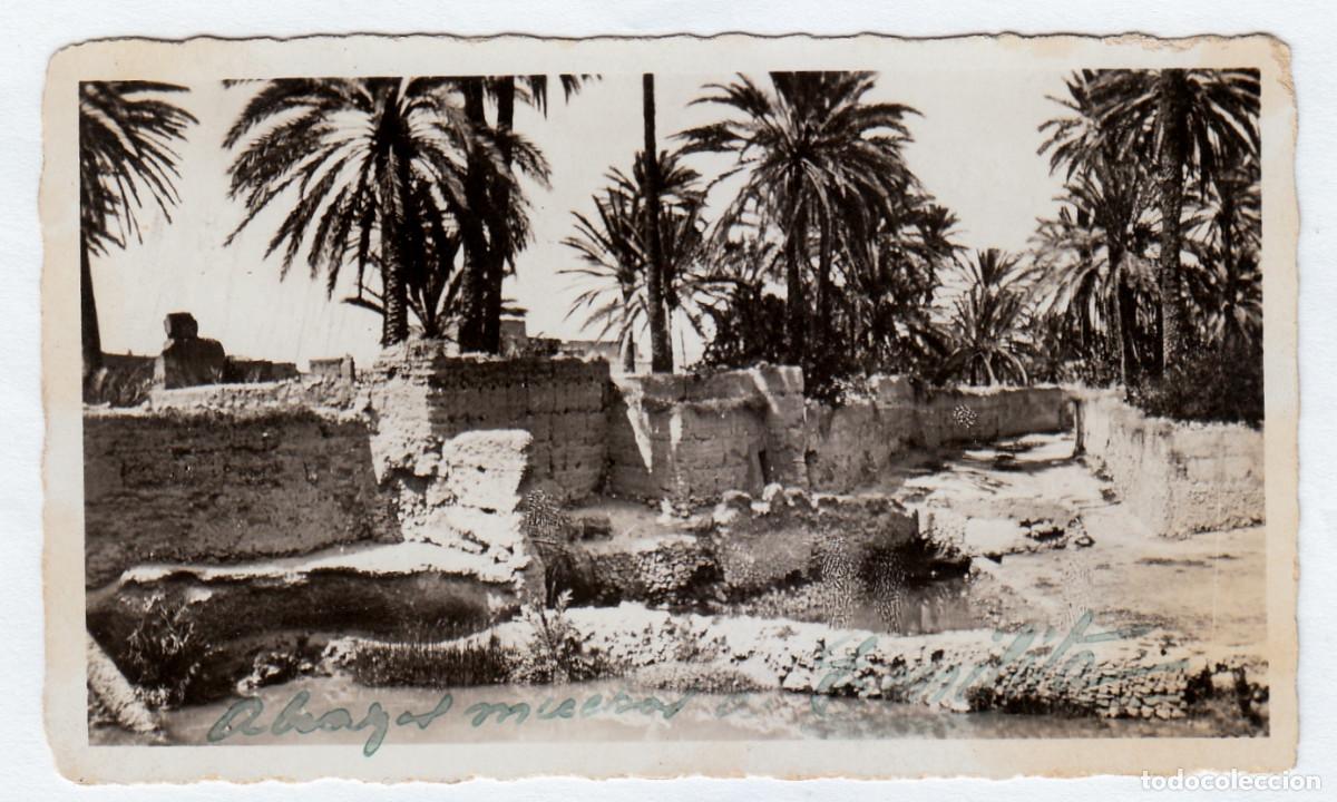 Postales: Postal La Palmeraie, Tiznit, Marruecos. A&ntilde;os 40 pc