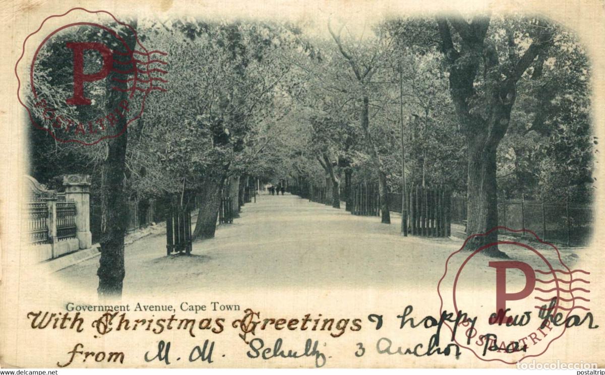 Postcards: Government Avenue , Cape Town SUDAFRICA SOUTH AFRICA AFRIQUE DU SUD