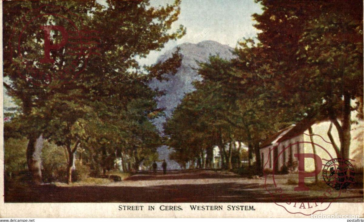 Postcards: Street in Ceres Western System SUDAFRICA SOUTH AFRICA AFRIQUE DU SUD