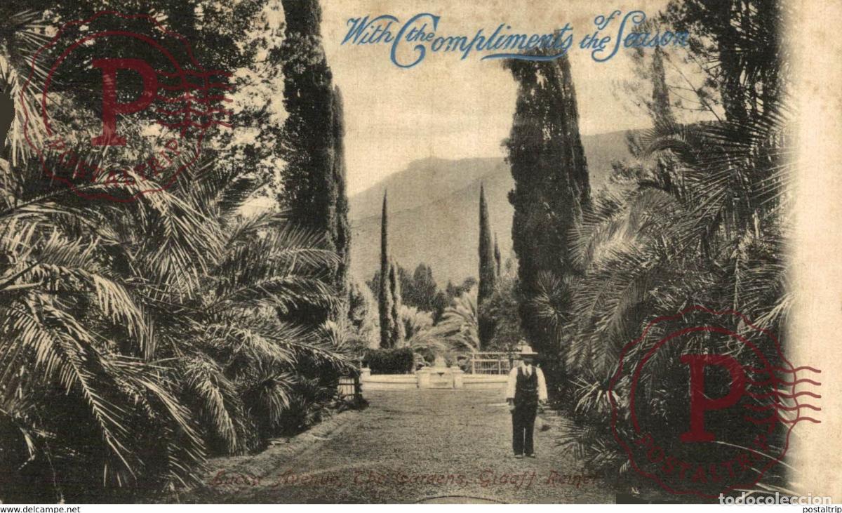 Postcards: With the Compliments of the Season. SUDAFRICA SOUTH AFRICA AFRIQUE DU SUD