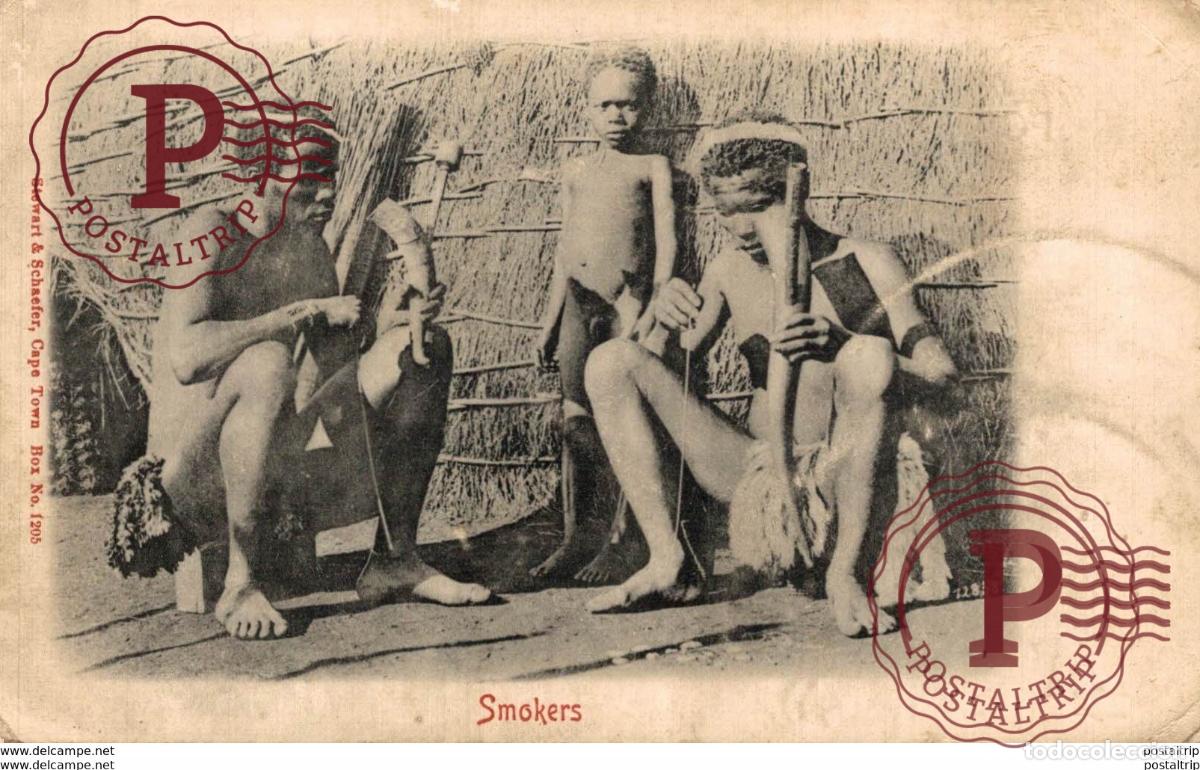 Cartoline: SUDAFRICA SOUTH AFRICA. SMOKERS. CAPE OF GOOD HOPE