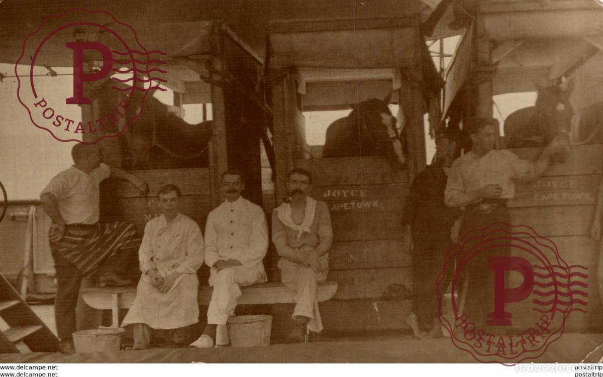 Cartes Postales: SUDAFRICA SOUTH AFRICA. JOYCE CAPE TOWN. - REAL PHOTO