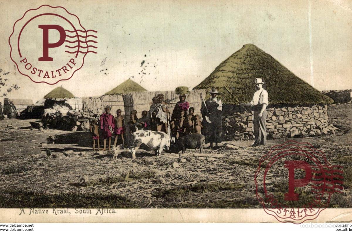 Postkarten: SUDAFRICA SOUTH AFRICA . A NATIVE KRAAL SOUTH AFRICA