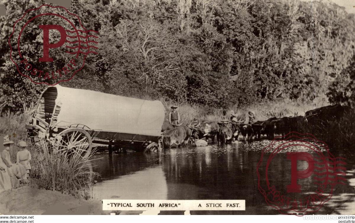 Postkarten: SUDAFRICA SOUTH AFRICA . TYPICAL SOUTH AFRICA. A STICK FAST