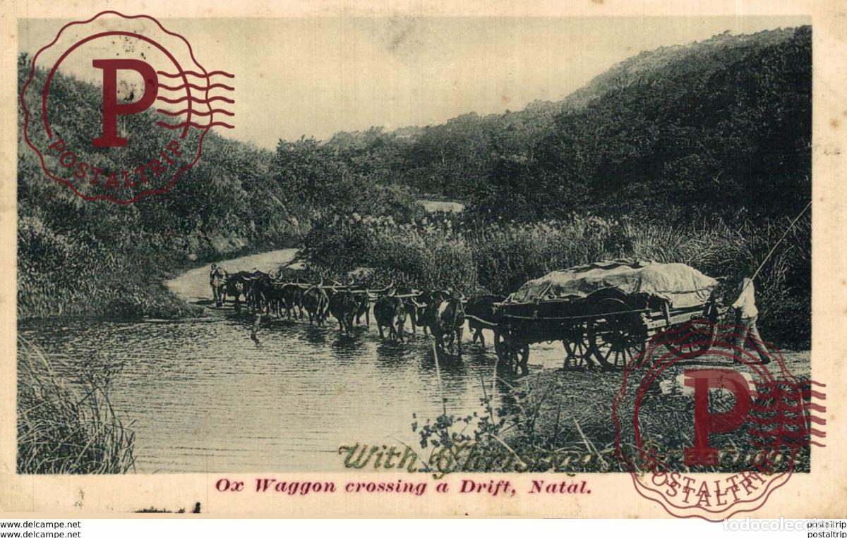 Postales: SUDAFRICA SOUTH AFRICA . OXO WAGGON CROSSING A DRIFT NATAL