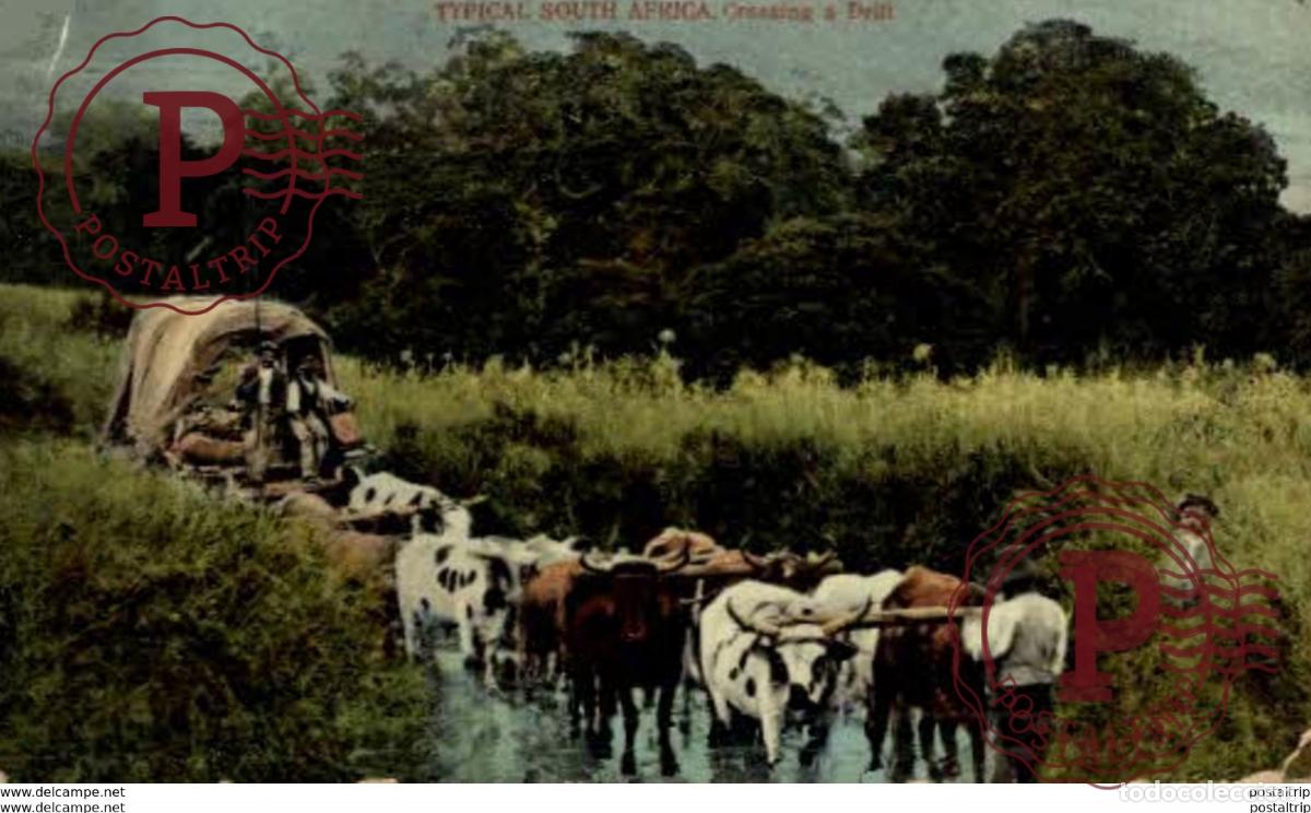 Postales: SUDAFRICA SOUTH AFRICA - CROSSING A DRIFT