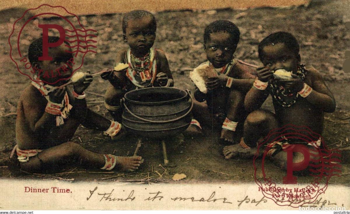 Postales: AFRICA. SUDAFRICA. SOUTHAFRICA. DINNER TIME.