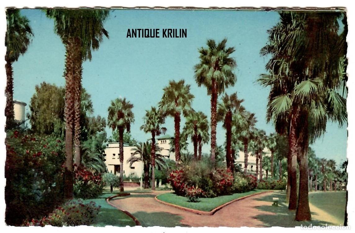 Postales: CASABLANCA N&ordm; 16 JARDINS L'AVENUE MOULAY-YOUSSEF / EDITIONS MARS / FRANQUEADA