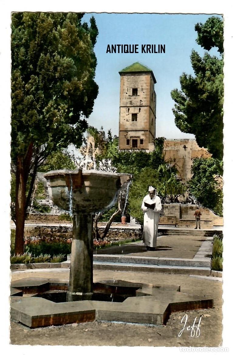 Postales: MARRUECOS / RABAT N&ordm; 021 JARDIN DES OUDAIAS / EDITION JEFF / FRANQUEADA