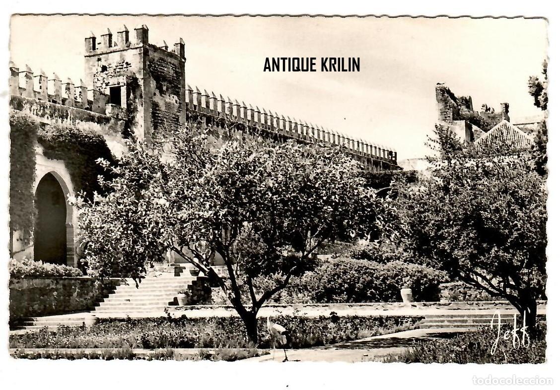 Postales: MARRUECOS / RABAT N&ordm; 20 JARDIN DES OUDA&Iuml;AS / EDITION JEFF / FRANQUEADA