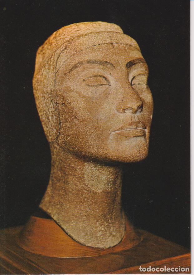 Postales: EGIPTO, MUSEO DEL CAIRO, CABEZA INCABADA DE LA REINA NEFERTI - E.LAMBELET 512 - S/C