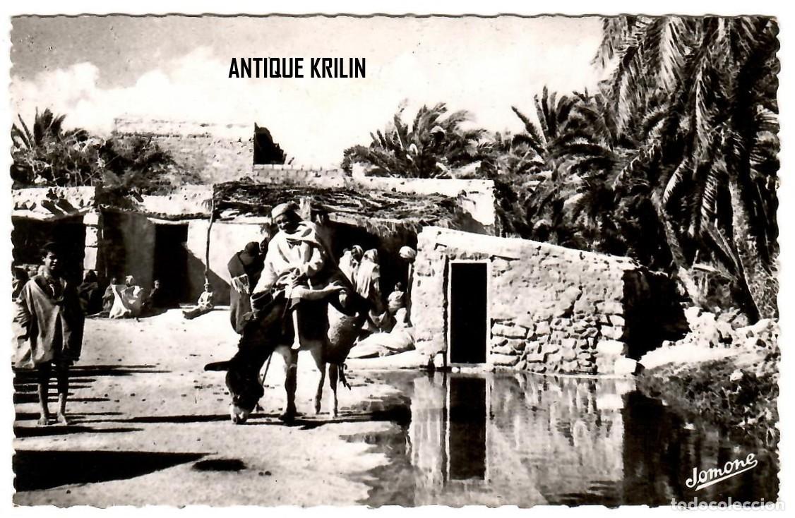 Postales: SCENES & TYPES N&ordm; 101 GOURBIS DANS L'0ASIS / EDITION JOMONE