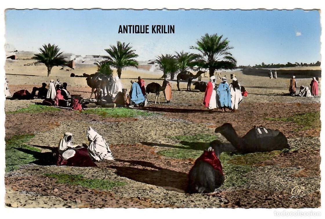 Postales: SCENES & TYPES N&ordm; 1165 UNE HALTE DANS LE DESERT / EDITION CAP