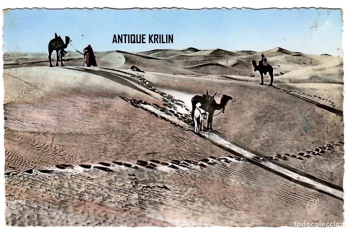 Postales: SCENES & TYPES N&ordm; 6057 DUNES DE SABLES / EDITION CAP