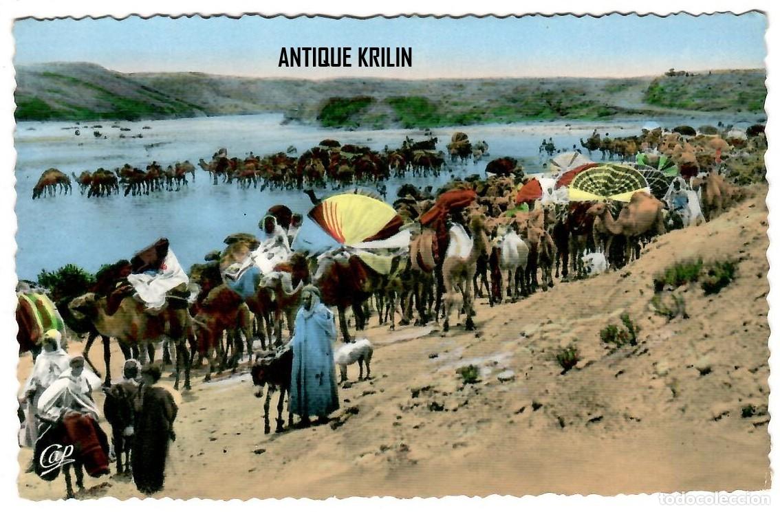 Postales: SCENES & TYPES N&ordm; 108 CARAVANE EN MARCHE / EDITION CAP