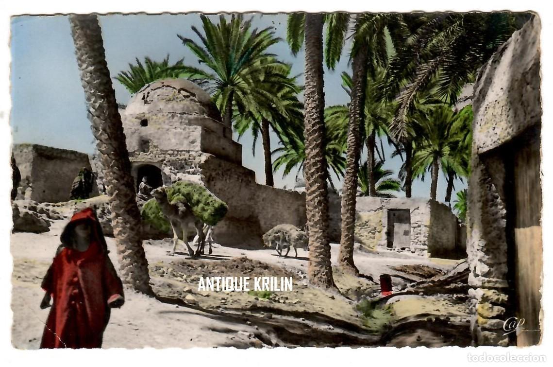 Postales: SCENES & TYPES N&ordm; 1490 DANS L'OASIS / EDITION CAP