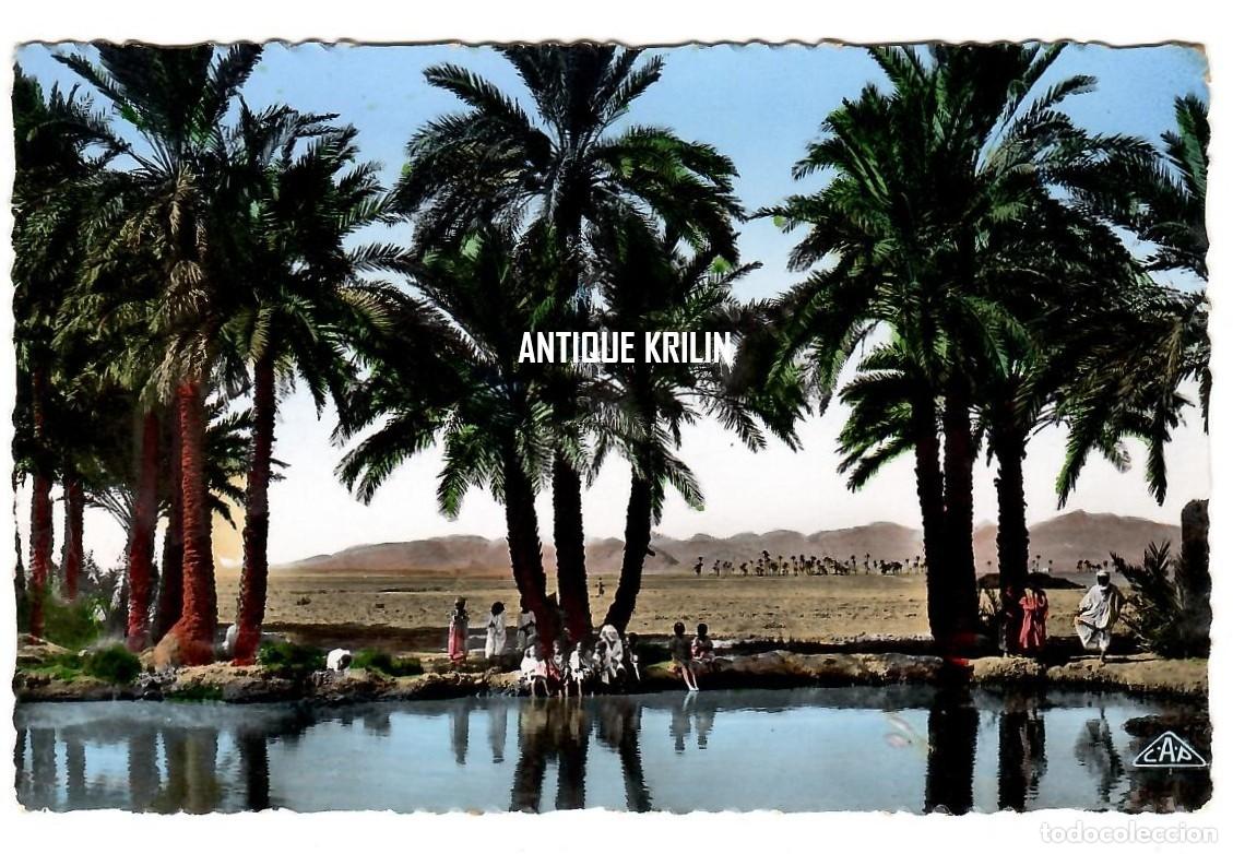 Postkarten: SCENES & TYPES N&ordm; 1271 DANS L'OASIS / EDITION CAP