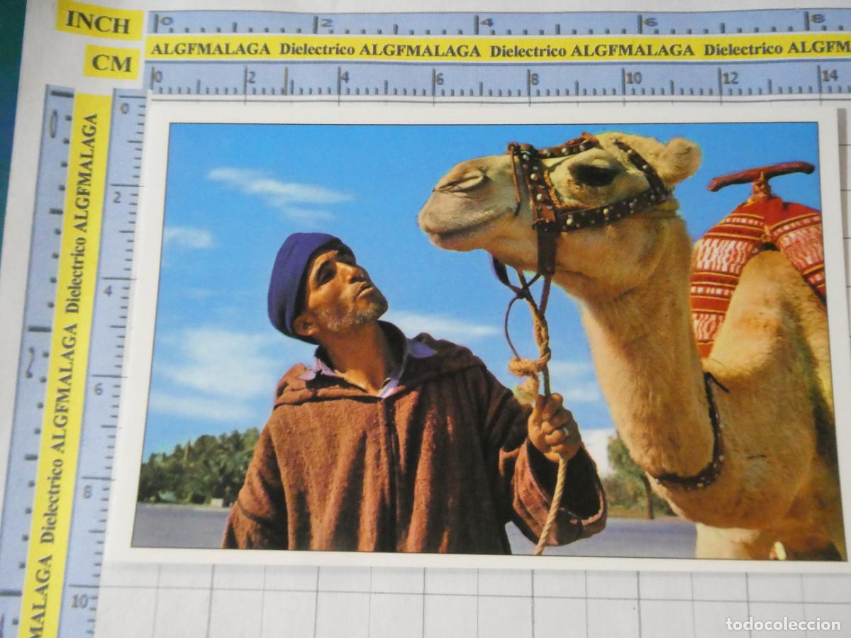 Postales: POSTAL DE MARRUECOS. TANGER. HOMBRE CAMELLO CAMELLERO. 744