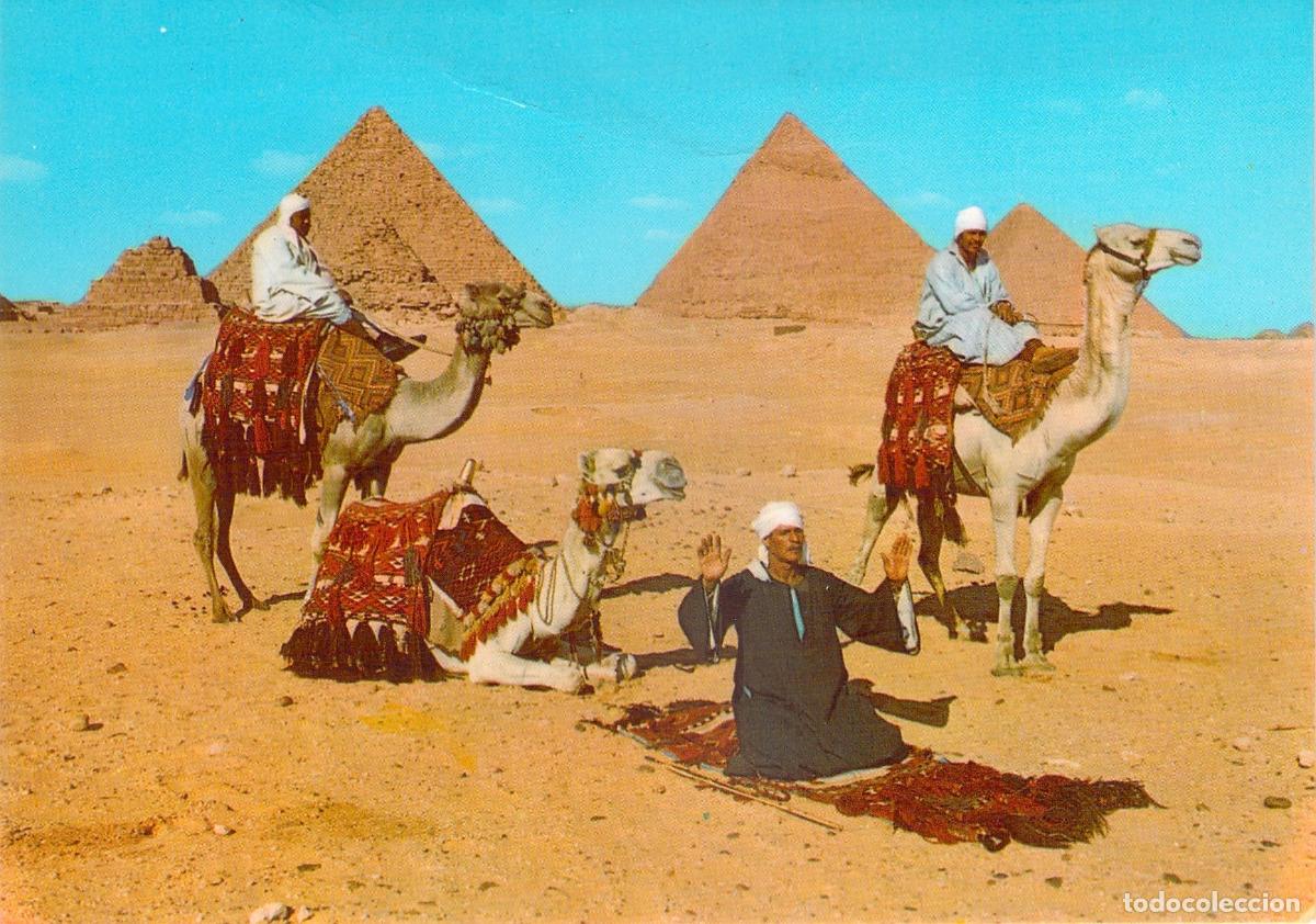Postales: Postal de Giza con jinetes de camellos y pir&aacute;mides de Egipto