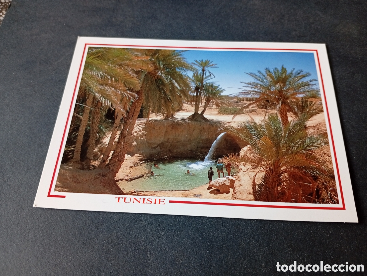 Postales: Postal T&uacute;nez Oasis........
