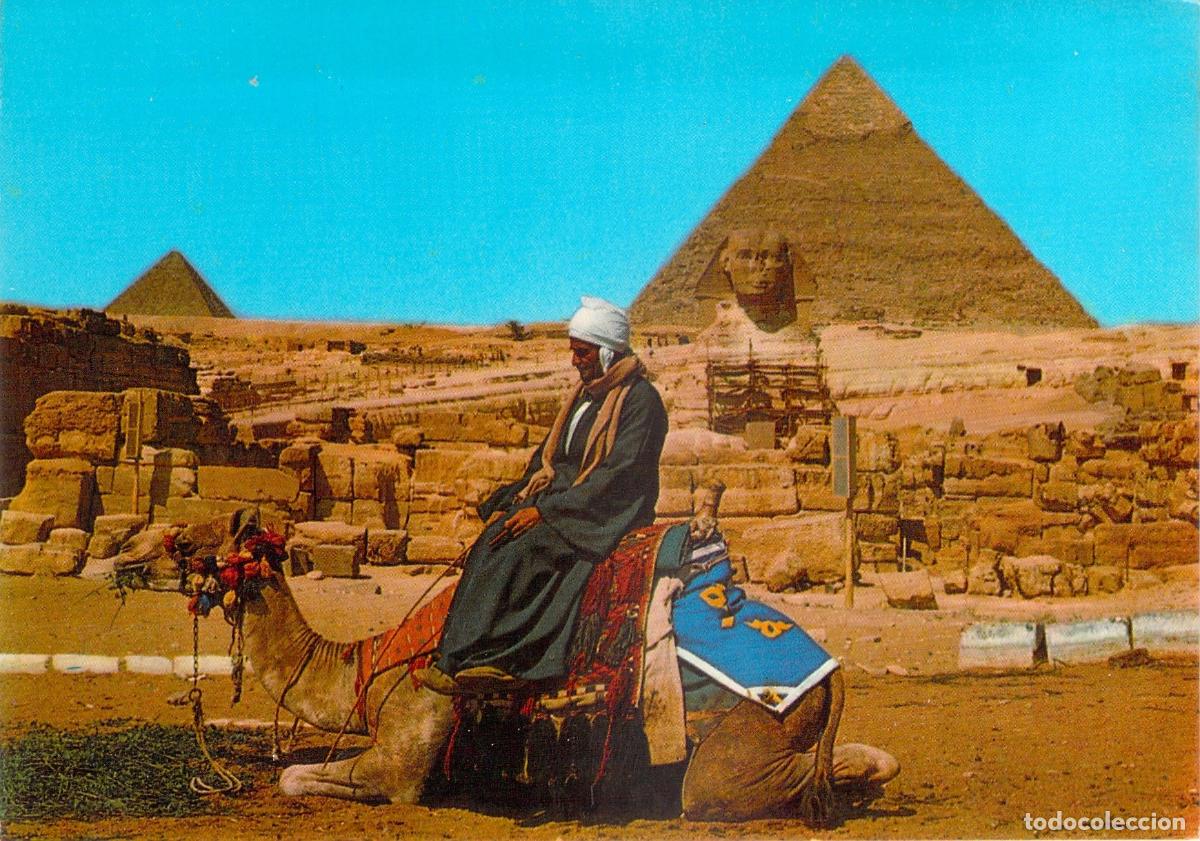 Postales: Postal de la Gran Esfinge y Pir&aacute;mides de Giza con Camello, Egipto