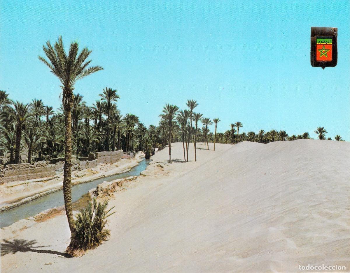 Postales: Postal de Zagora Palmeras y Dunas de Marruecos