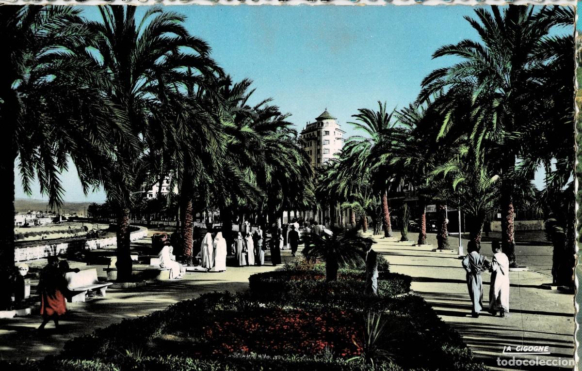 Postales: POSTAL DE MARRUECOS. TANGER AVENUE D' ESPAGNE. P-AFyMA-898