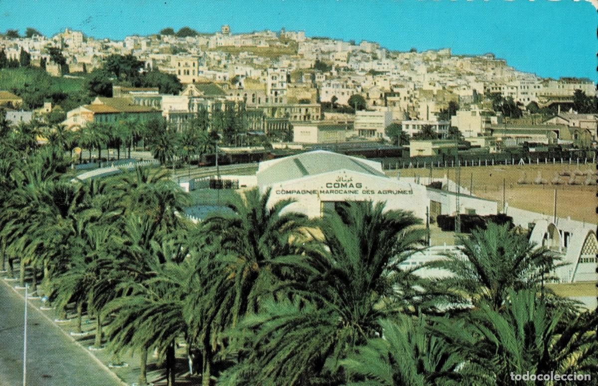 Postales: POSTAL DE MARRUECOS. TANGER AVENUE D' ESPAGNE. P-AFyMA-961