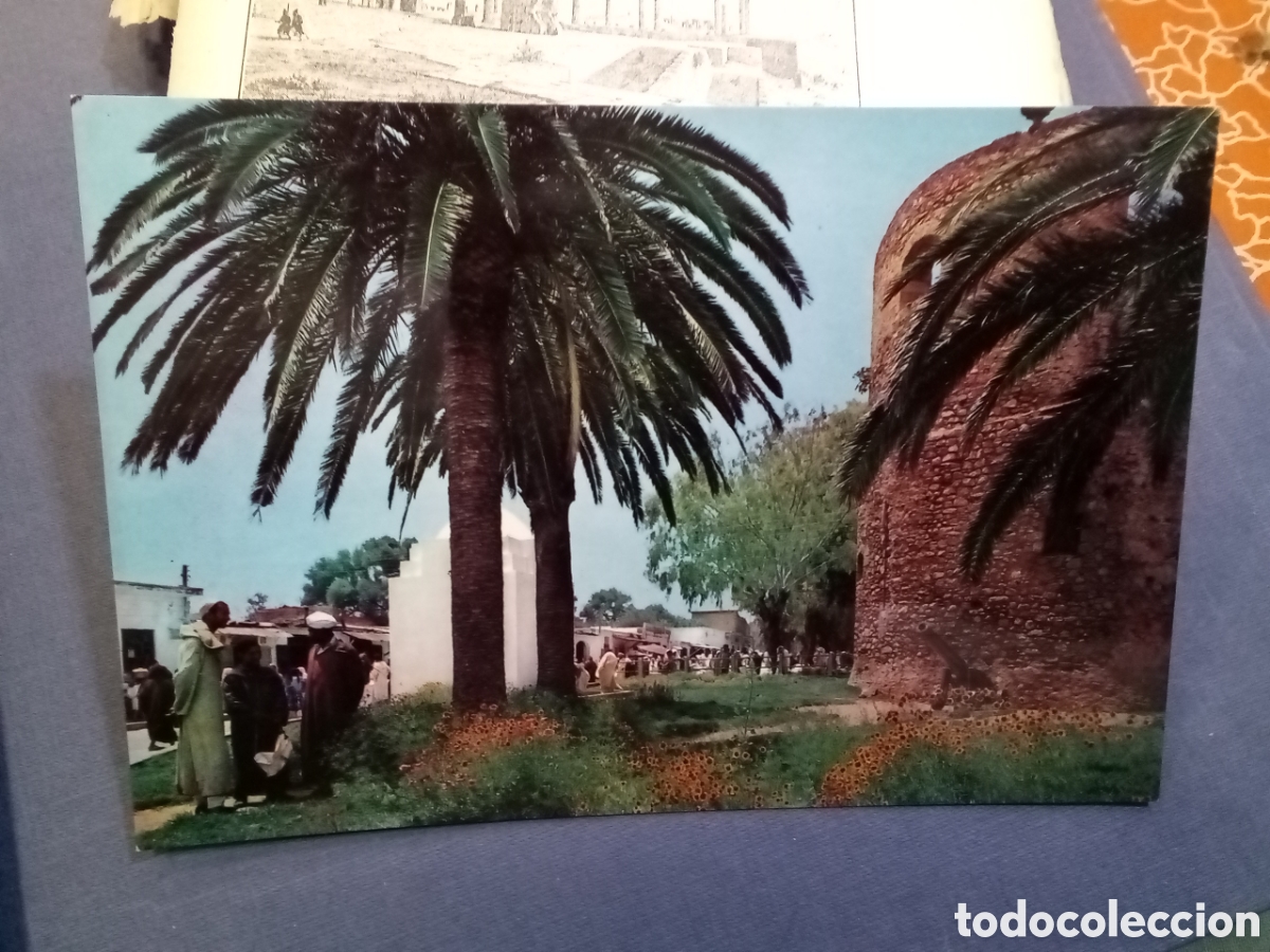 Postales: Postal - Arcila. Marruecos T&iacute;pico