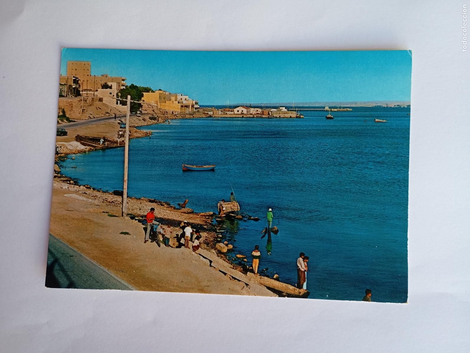 Postcards: POSTAL DE TOBRUK. TDKP29Z1