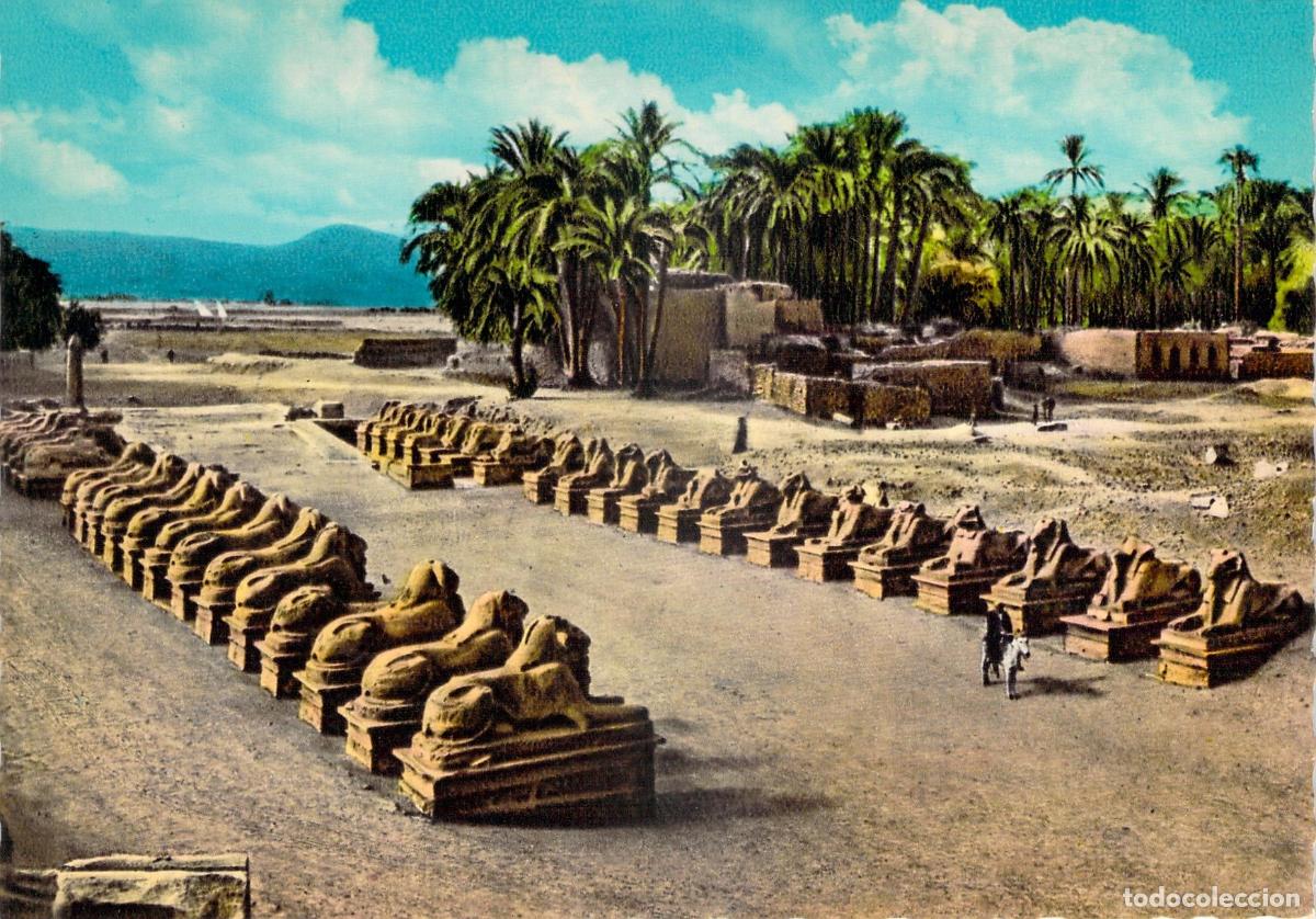 Postales: Postal de la Avenida de las Esfinges en Karnak, Egipto