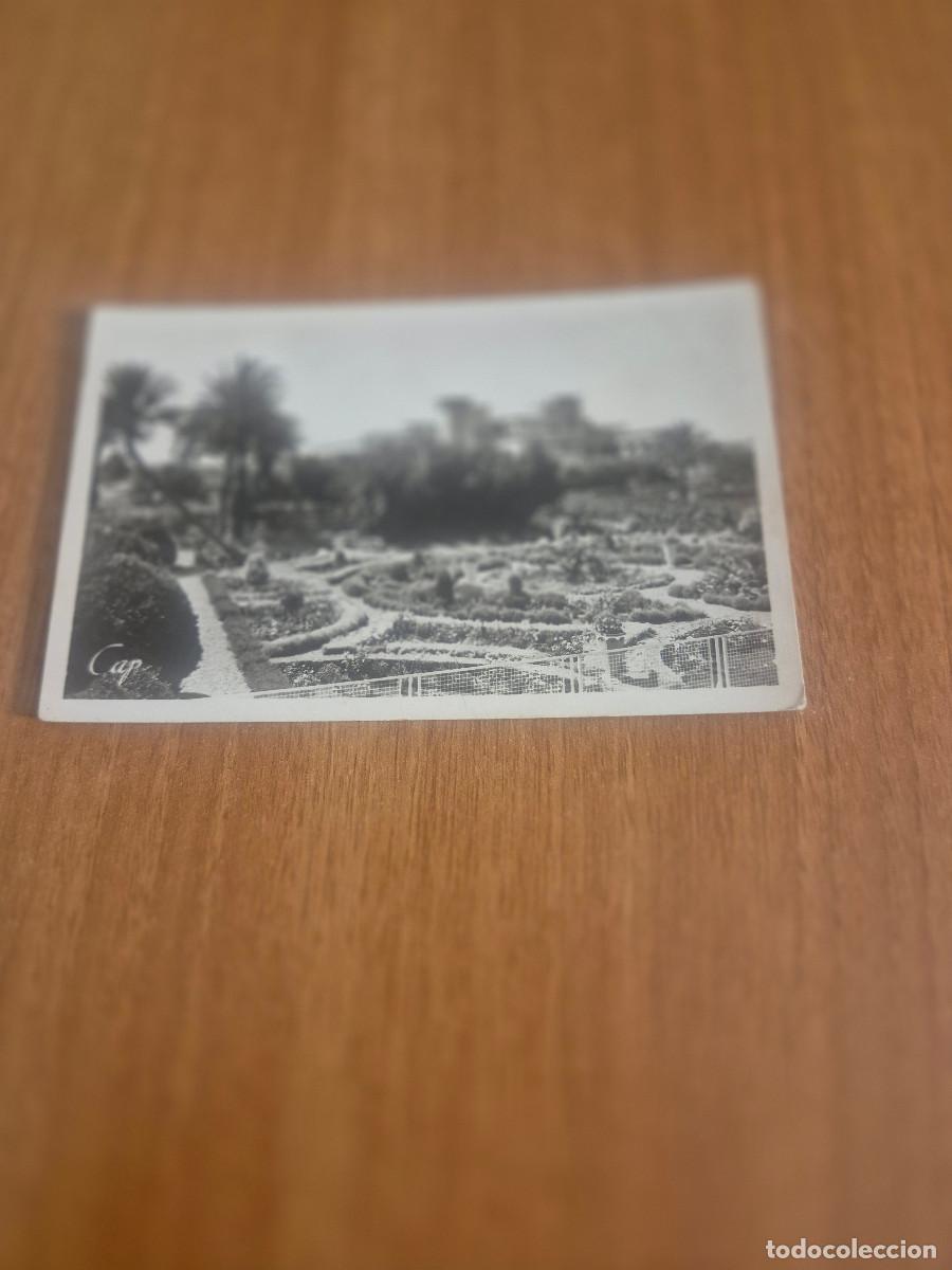 Postales: POSTAL, SIDI - BEL ABBES - LE NOUVELHOPITAL SIN CIRCULAR.