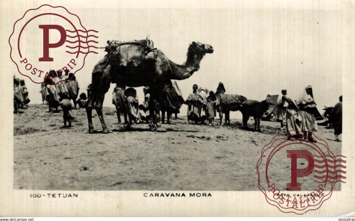 Postkarten: FOTOPOSTAL FOTO CALATAYUD CARAVANA MORA ESPA&Ntilde;OLA Tetuan MARUECOS MAROC