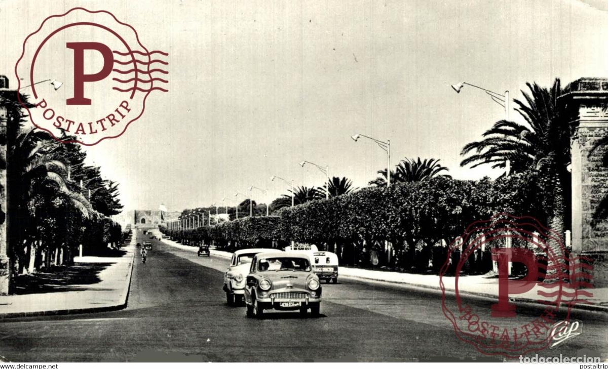 Postkarten: FOTOPOSTAL RABAT - LAvenue de la Victoire MARUECOS MAROC